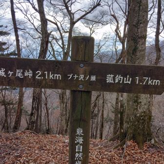 ブナ沢ノ頭🙋ヨシ