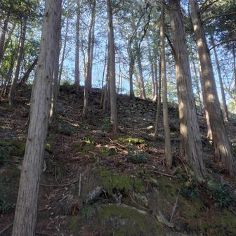 淡路丸を見上げて終了です。