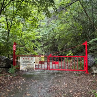 ずぶ濡れになり宇連山登山道入口駐車場側のゲートに到着。
跨いで駐車場へ
パンツまでグショグショ😔
今日はいい経験になった。