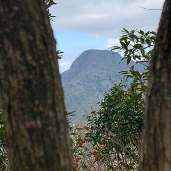 西岳からの経ケ岳です。