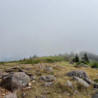 双子山の南峰もすぐそこです。