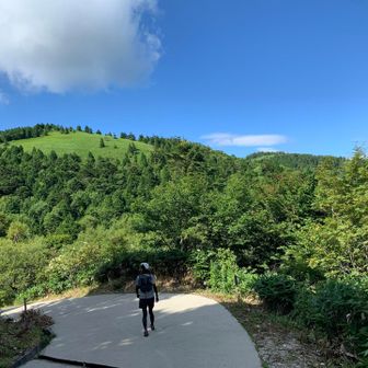 先に見えるのは神坂山。
本日は寄りません😆