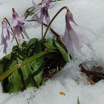 亀でも歩かなくちゃね～