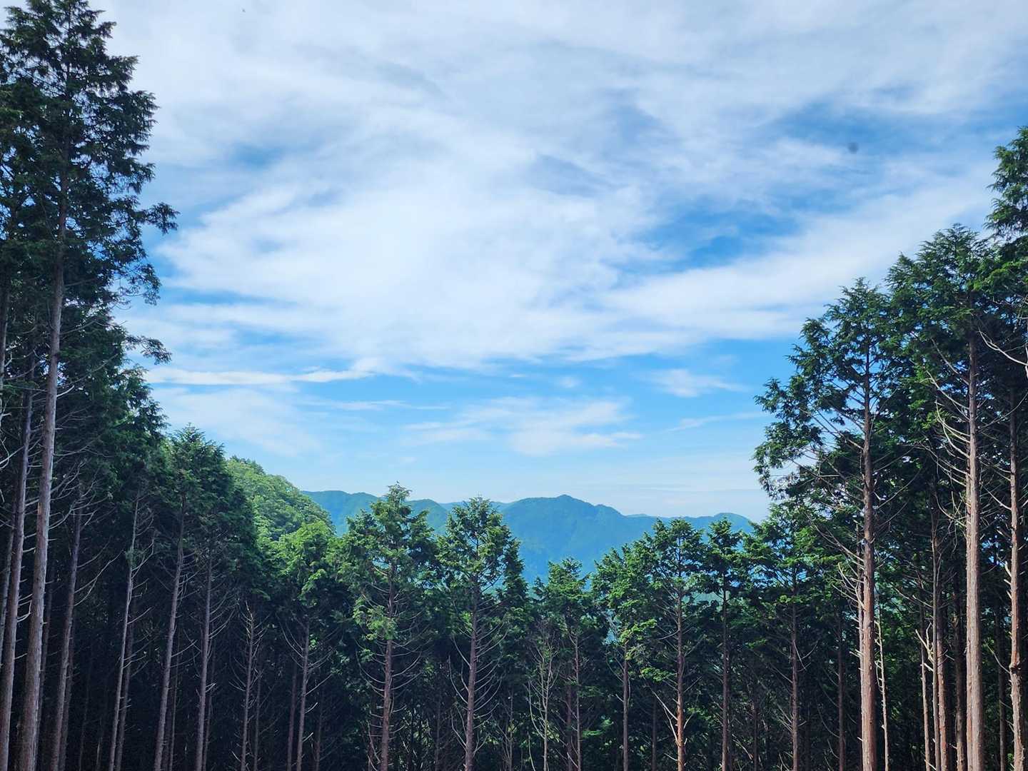 大鏡池-小屋ノ尾ノ頭-薊岳 往復コースの写真