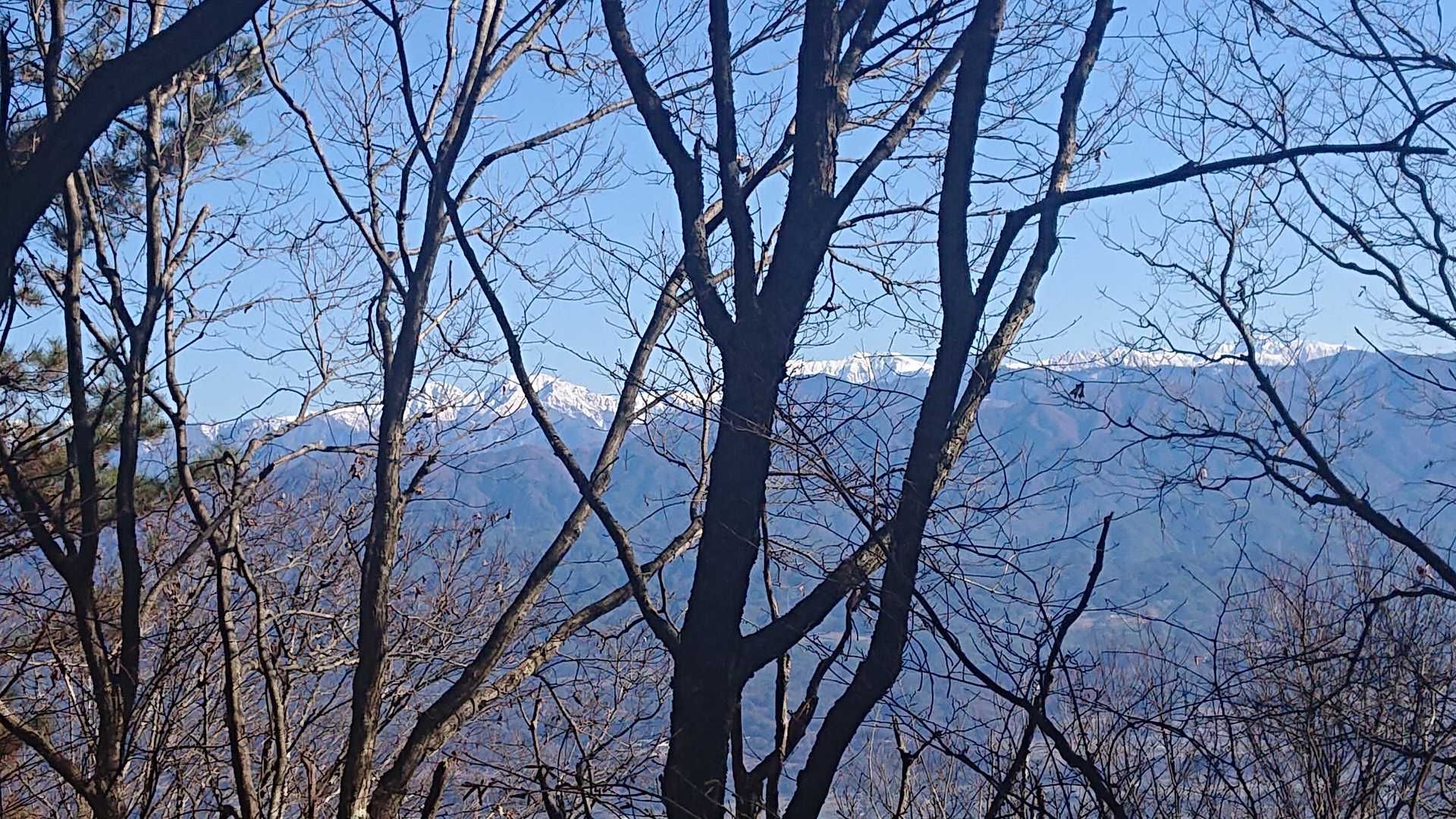 今の季節は葉が落ちて雪をまとった南アルプスが最高でした🎵