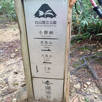 小原峠に到着しました。
ここから、赤兎山までは１キロ➜
左に行くと、大長山(オオチョウヤマ)。
2.5キロあります。
今日は、赤兎山のピストンにしといたろ😉