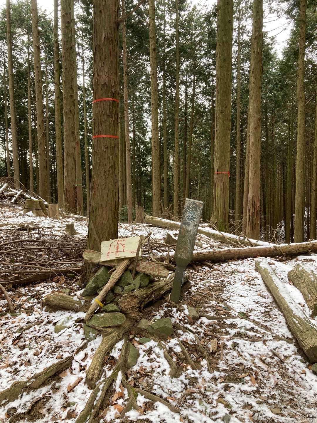 分岐

左、西山方面

右、犬鳴方面