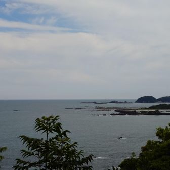 昔はここから鯨見てたのね〜