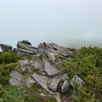 比麻良山の三角点を通過します。