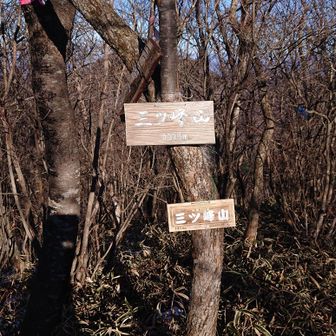 やっとの思いで三ツ峰山⛰️

動画作成に打ち込み
運動不足が出たのか
足つりそうになりました😥💦