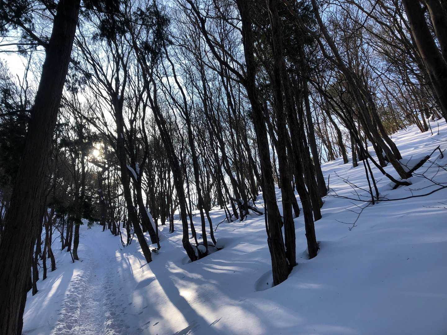 三方山-小倉山 往復コースの写真
