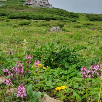 周遊路