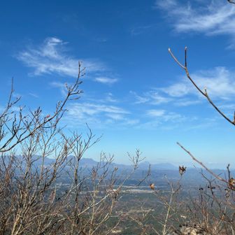 由布岳も見える👀