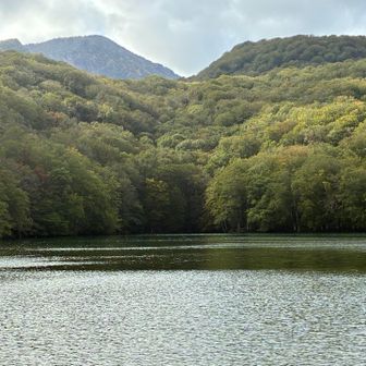 標高低いので、燃えるような紅葉まではまだまだ