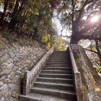 ここから登っていきます