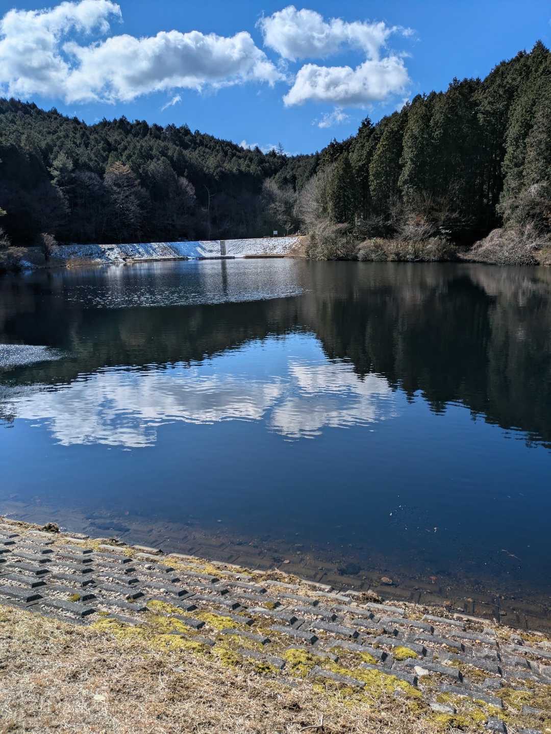 大洞池