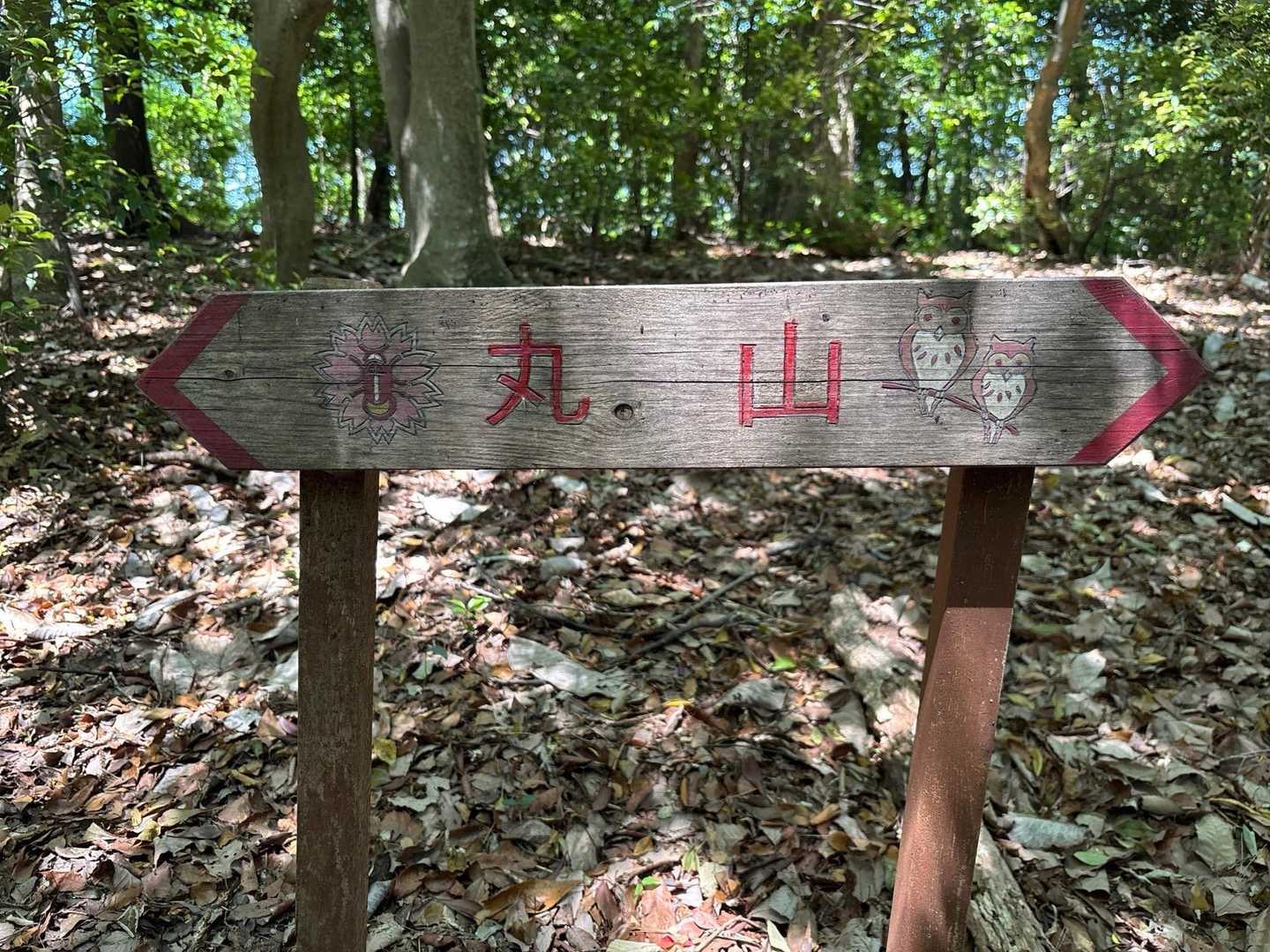 額堂山-森ヶ嶺登山口-森ヶ嶺-ふっこし峠-高野御前山-まさ 周回コースの写真