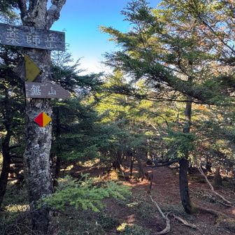 そろそろ鋸山が近づいてくる