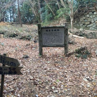 本丸跡に着きました。かなりの広さです。