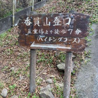 ゴールです✨
おつかれ山でした⛰️