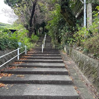 階段おおし