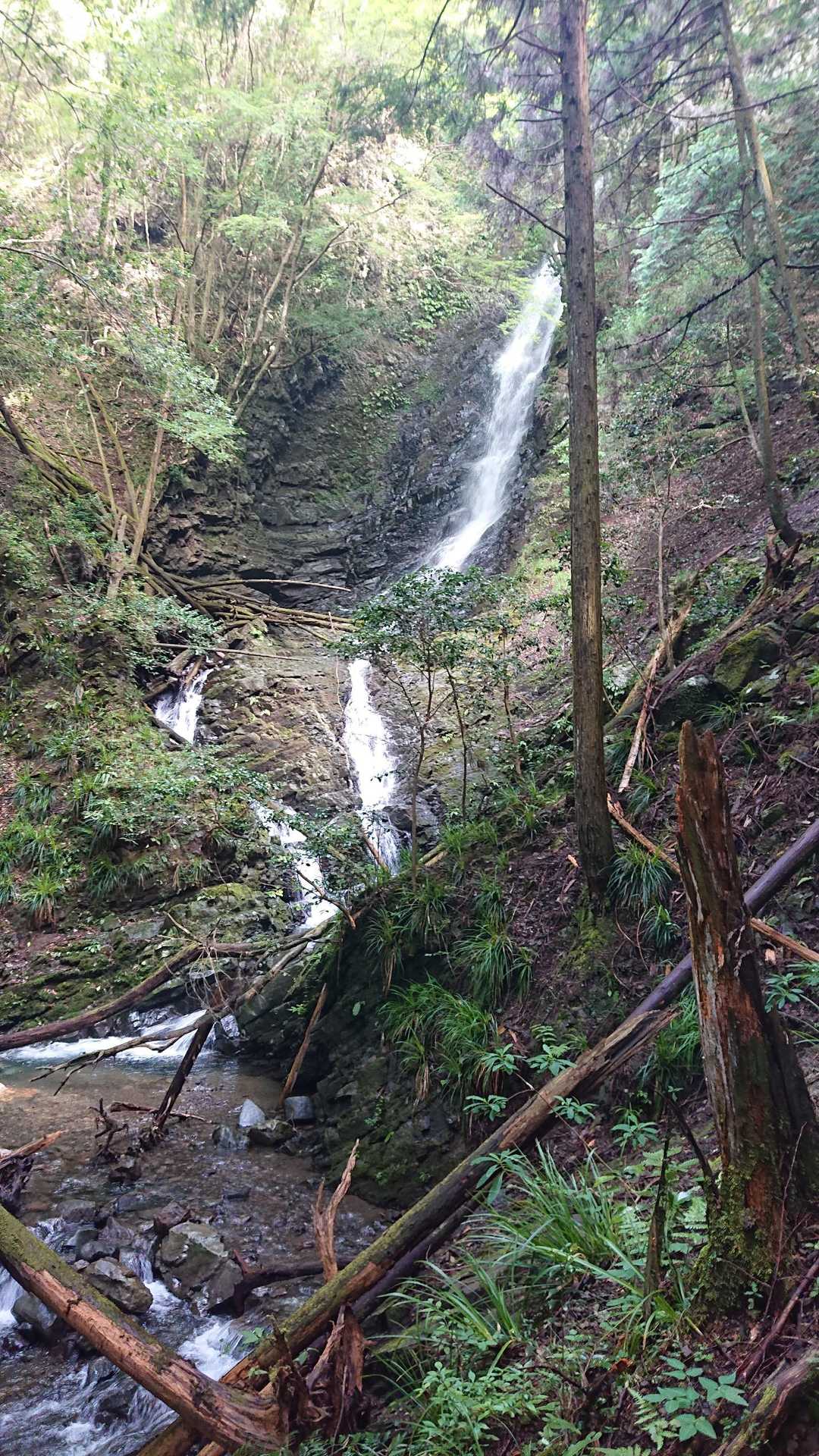 肝冷やしの滝もなかなかの水量😆
