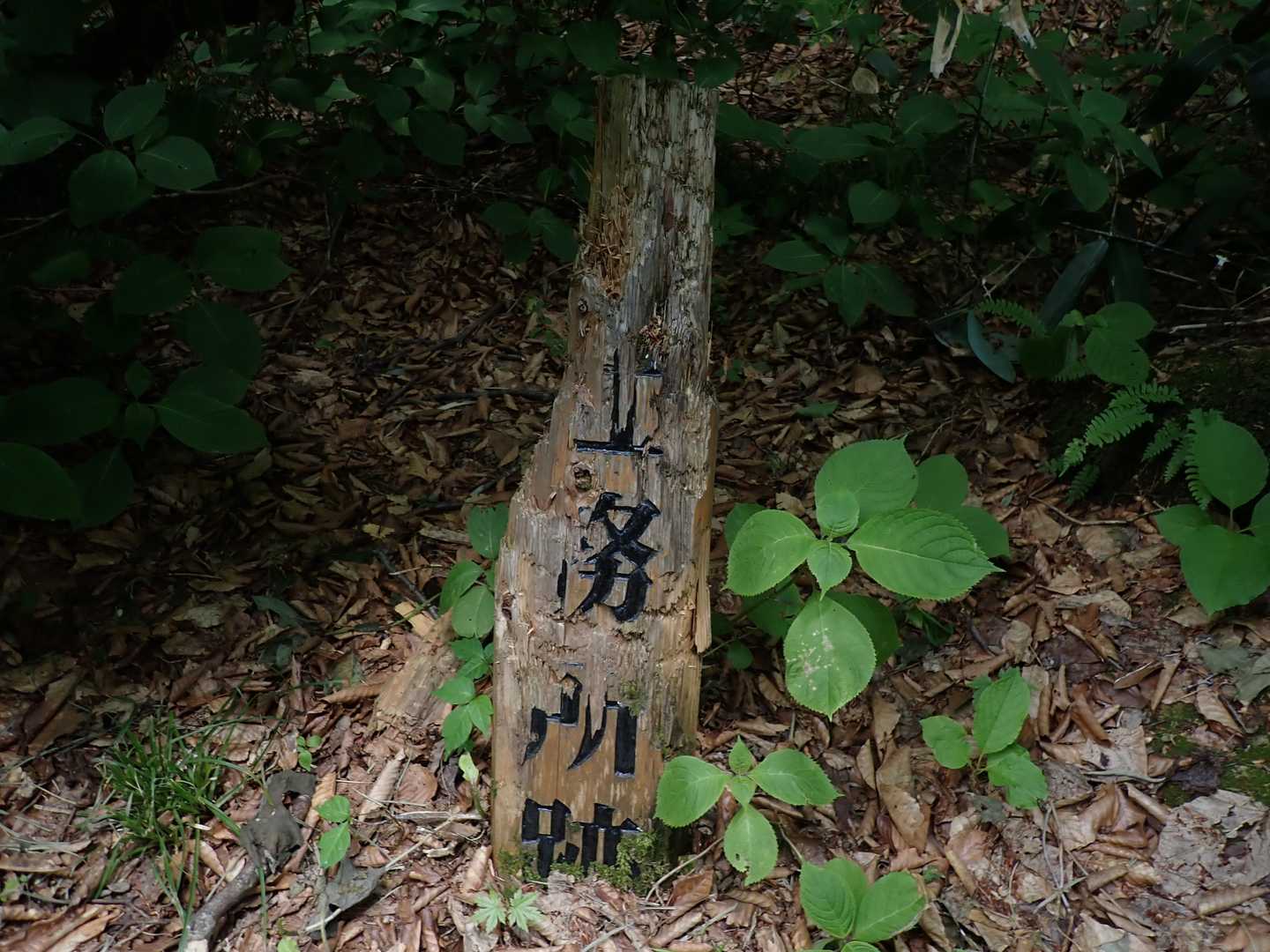 おそらく社務所跡と書いてあったのだろう
マー君あごの力強いな～