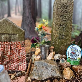 愛宕神社　あせらず安全に🙏