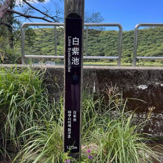白紫池迄戻って来ました。