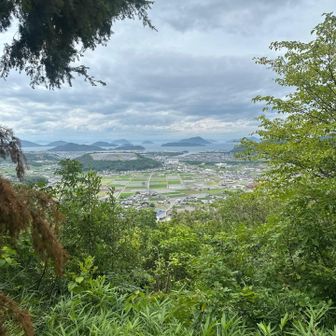山頂からの眺め