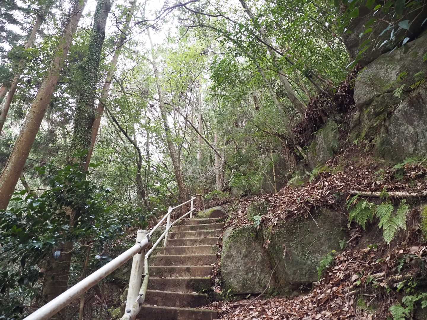 いよいよ…
天狗伝説👺 628.4mの折平山⛰へ(๑و•̀ω•́)و♡