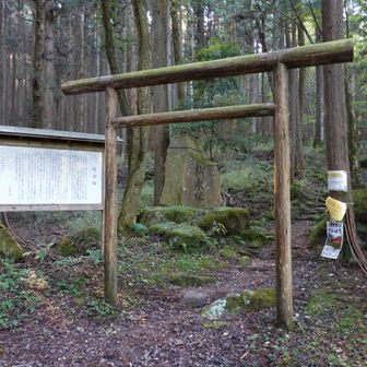 富士見峠から40分弱で下山完了。おつかれさま