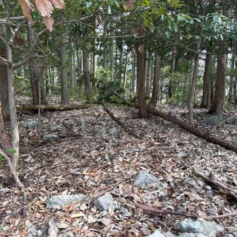 今日はその先へ、、、

ピンテもあり