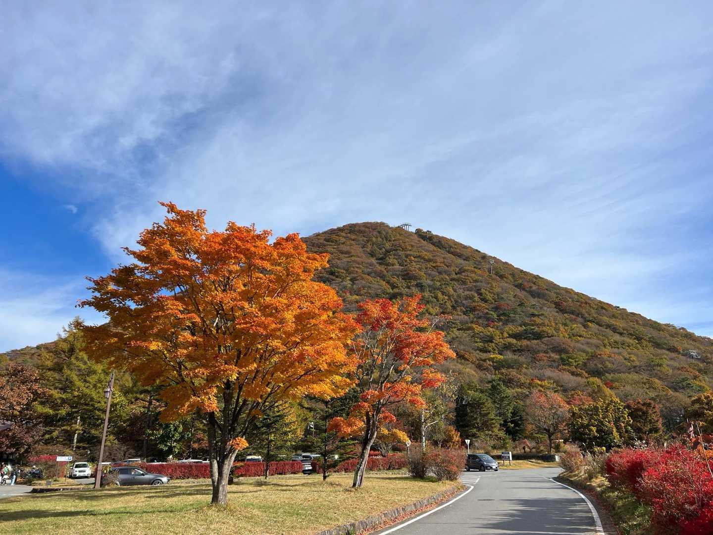 紅葉真っ只中！
綺麗ですねー🍁

さぁ、頑張って登りますよー！