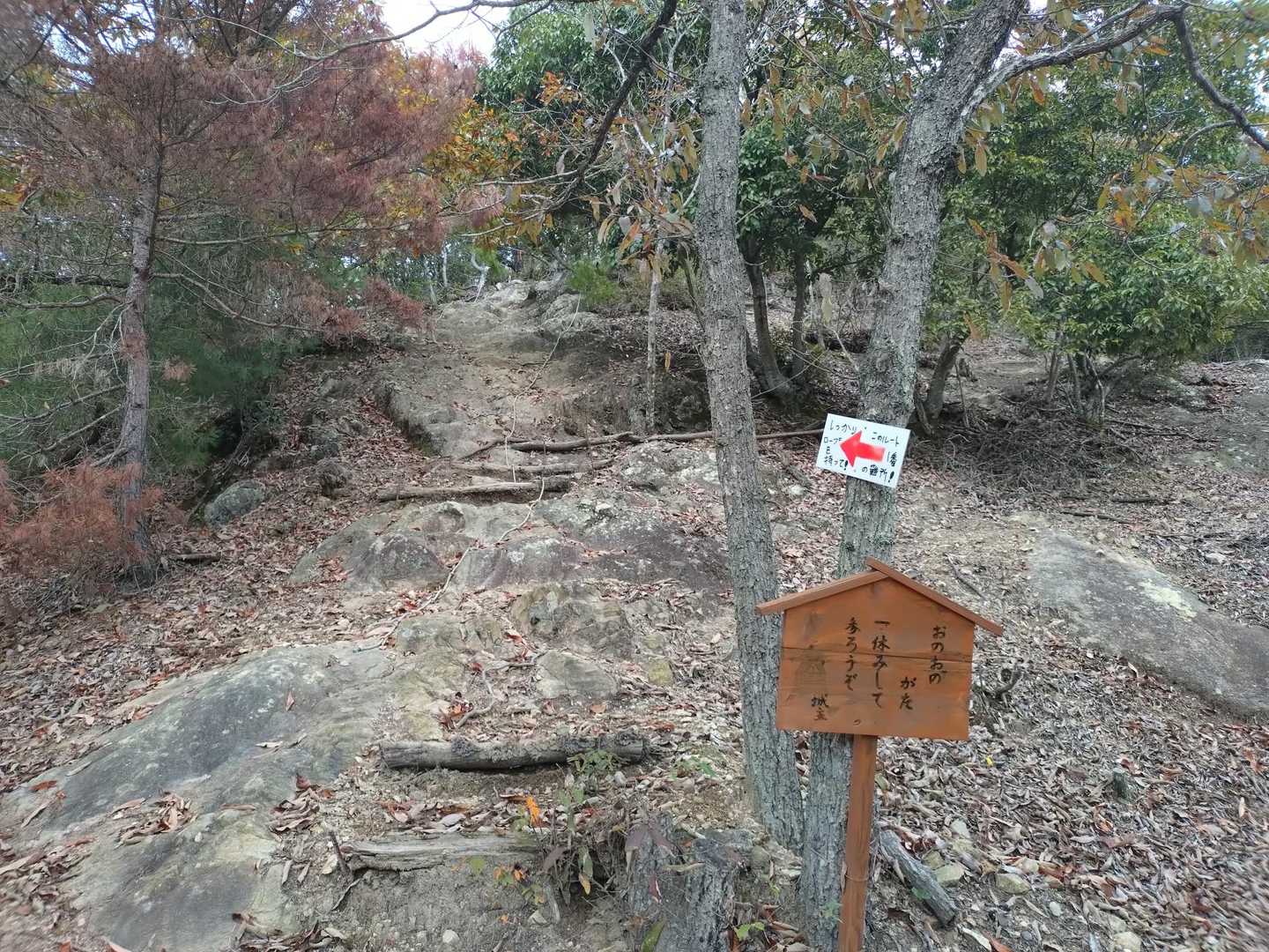このお山ルート一番の難所とのこと