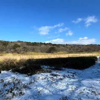 ぐるっとまわって帰ります