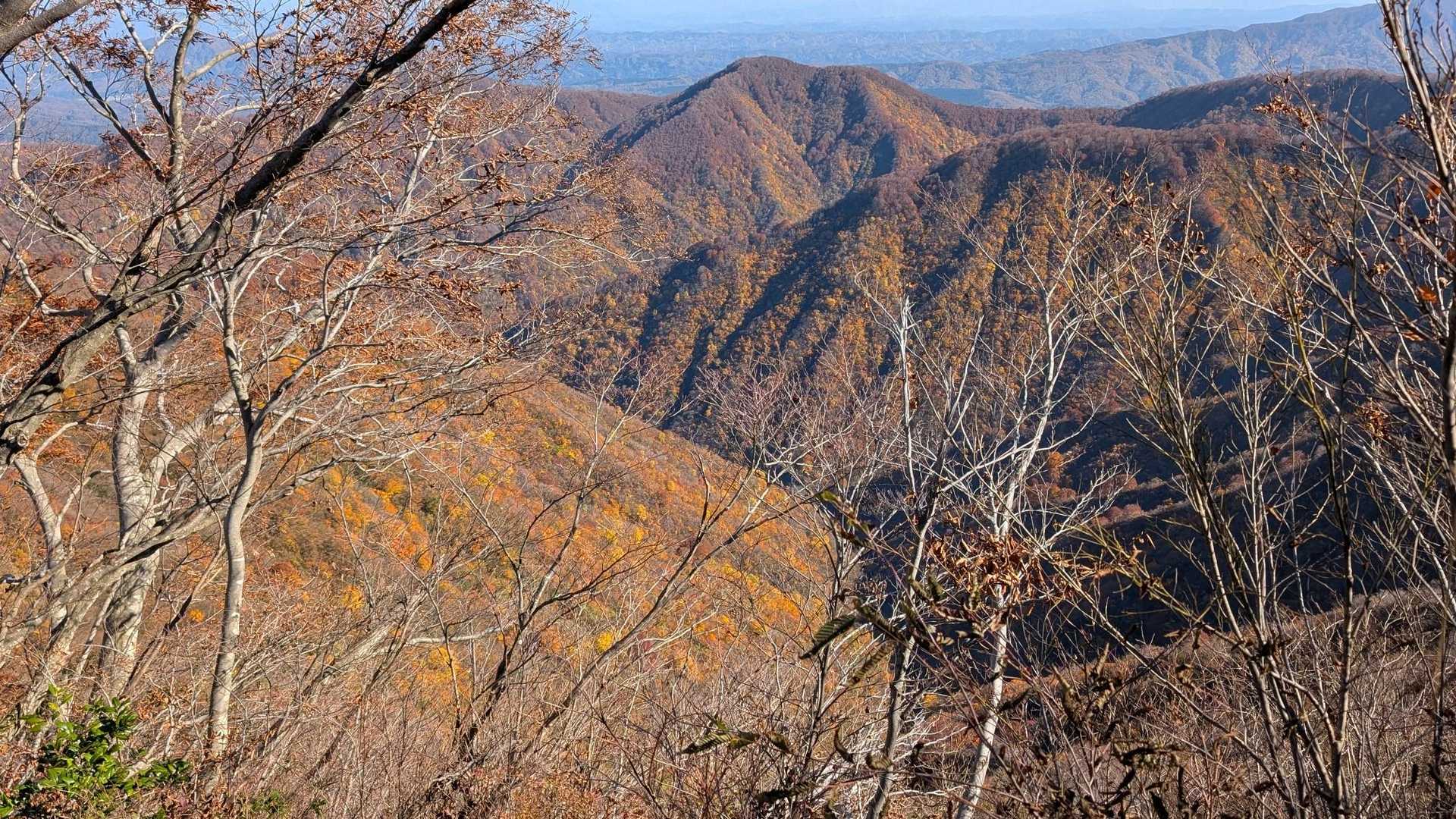 米山（谷根コース登山口）＜谷根コース＞の写真