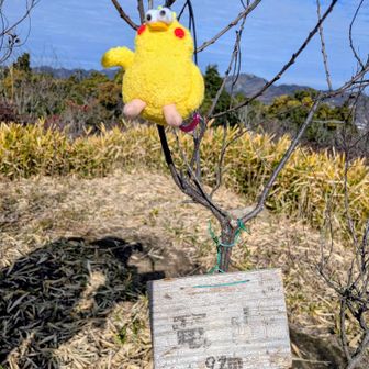 ①竜山に登頂です🙌
相棒もお疲れ様💕