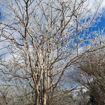 綺麗すぎて、テンションUP♡
連れてきてくれて、ありがとう🙏