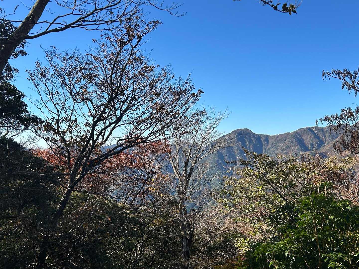 ズズっと南下入道から 水沢岳
