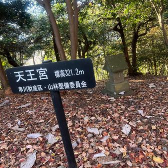 落ち葉の量が多く滑りやすい。