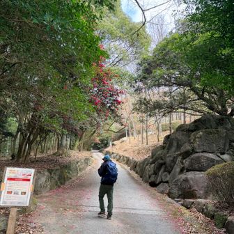 金立山登山口からスタート🚶‍♀️