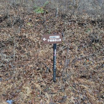 所々に標識があります