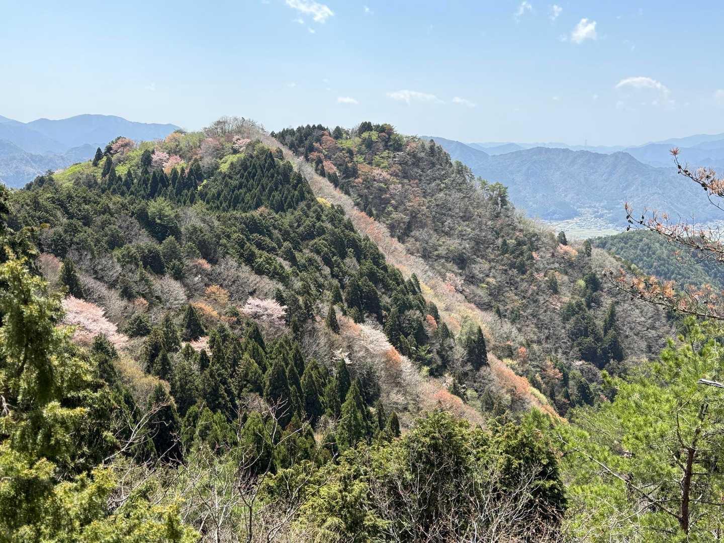 山桜🌸
今から向かう山々
先輩達は
え〜あそこまで行くの⁉️と驚き‼️