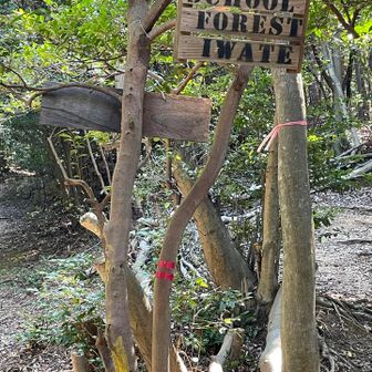 前回、この分岐で真っ直ぐに行ってしまいました…この日は計画通り右に入って行きます。