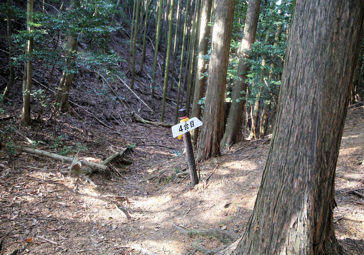 4合目