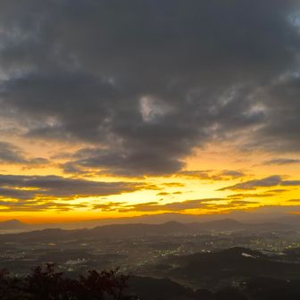 🤩
この辺が最高潮