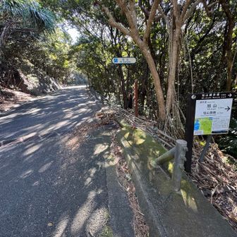 車道に戻り次の山へ。