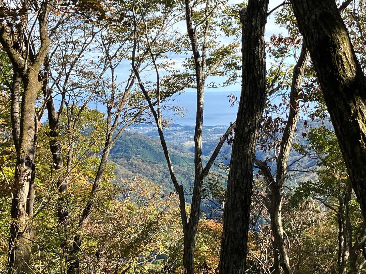 山の上から人の生活や海が見えると、ちょっと元気でます。、