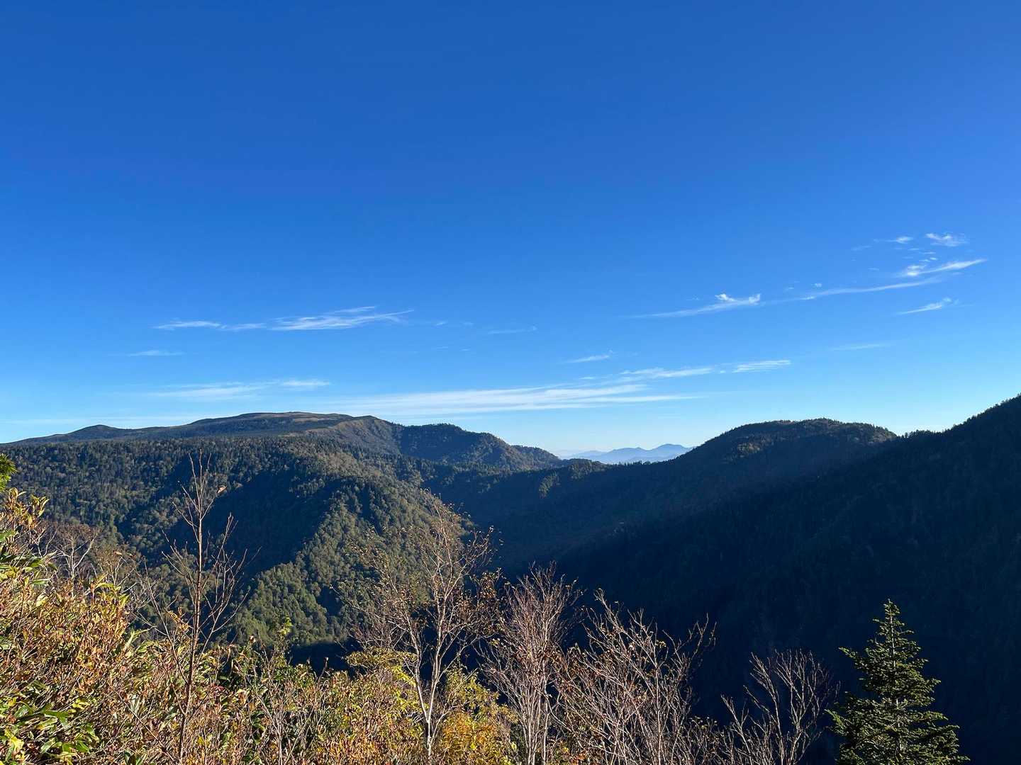 平べったい苗場山
と奥に中岳や八海山